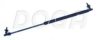 CHRYS 55256444 Gas Spring, boot-/cargo area